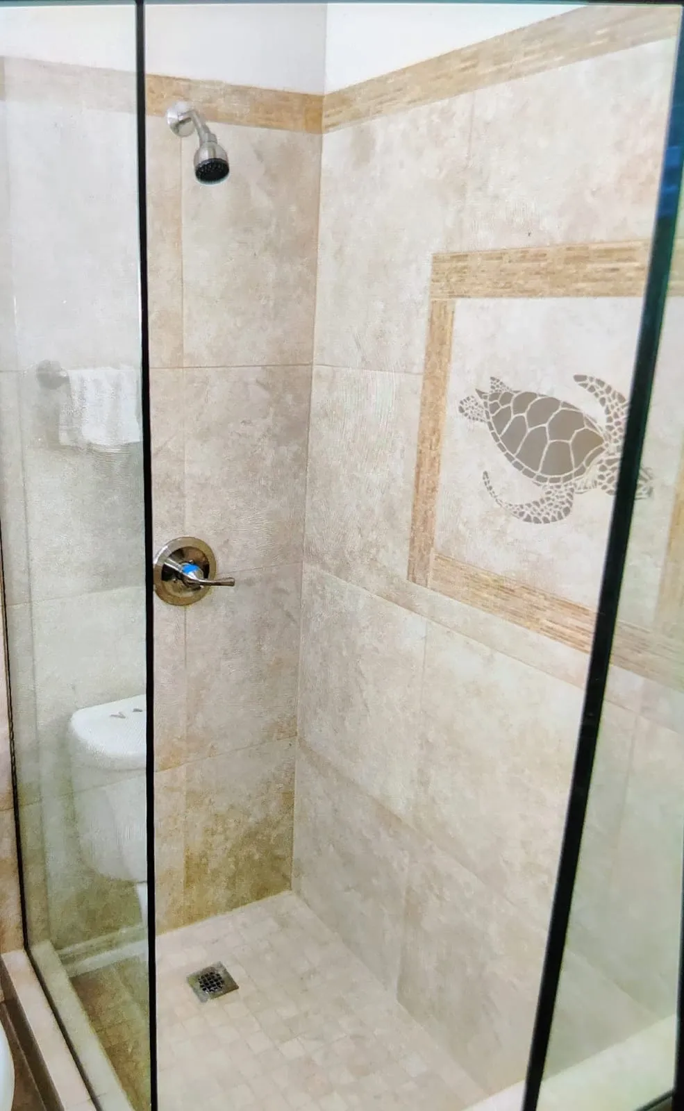Custom shower remodel with tile inlay Maui HI